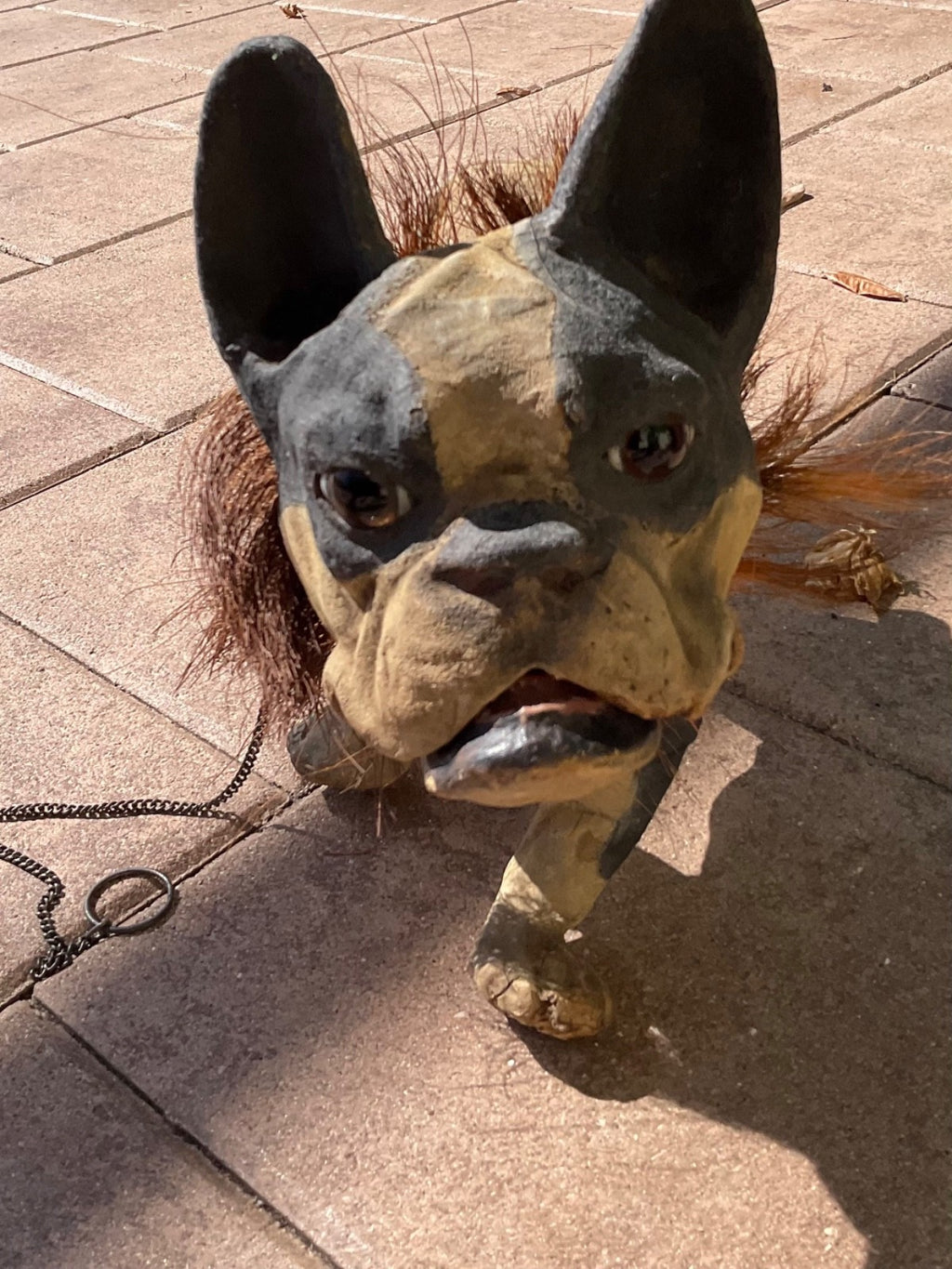 Image #2
