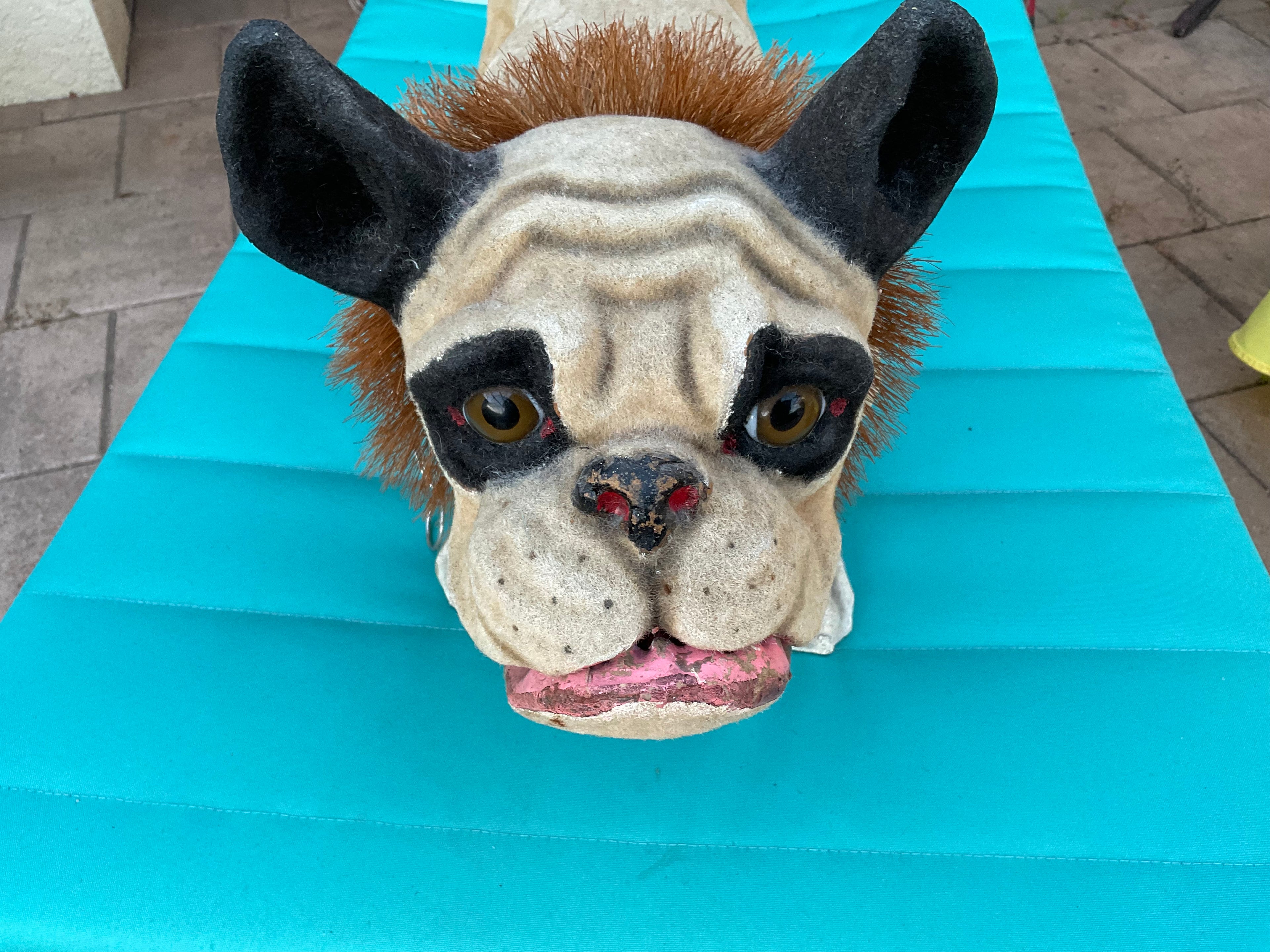 21” Large Paper Mache French Bulldog Growler